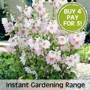 Instant Gardening Range