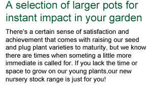 instant gardening range
