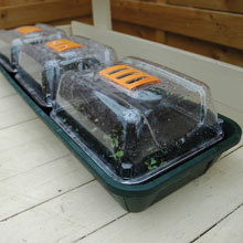 Windowsill Planter