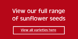 view our range of sunflower seeds