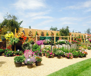 The T&M Garden at Jimmys Farm