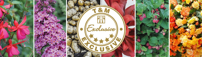 Thompson & Morgan Exclusive Varieties