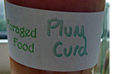 Plum Curd