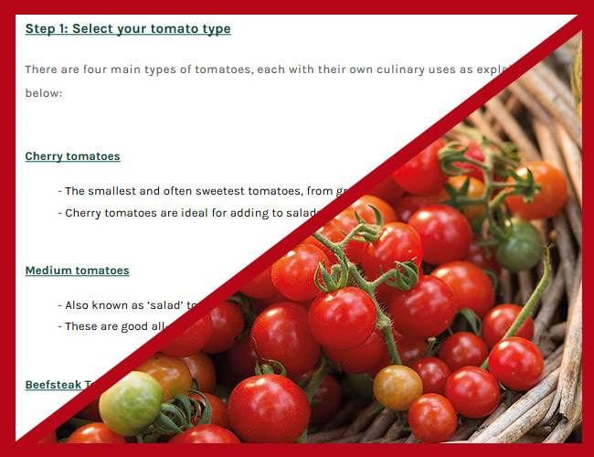 Tomato Selector Guide