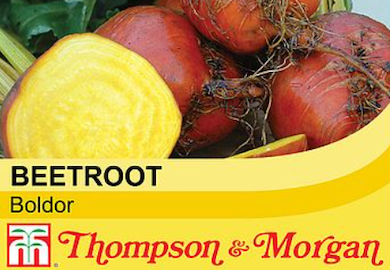 Beetroot 'Boldor' seed packet from Thompson & Morgan