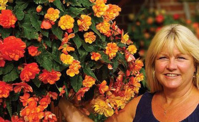 A person standing next to a hanging basket of begonias.