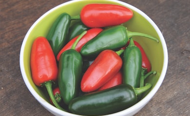Chilli pepper âJalapenoâ from T&M