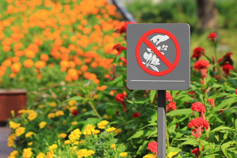 sign showing not to pic flowers