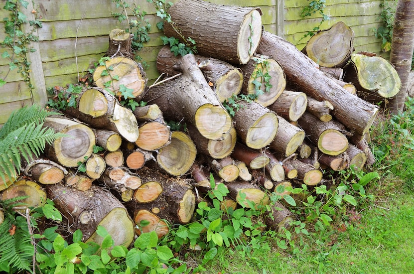 Log pile against fence