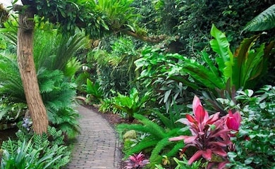 Jungle garden with pathway