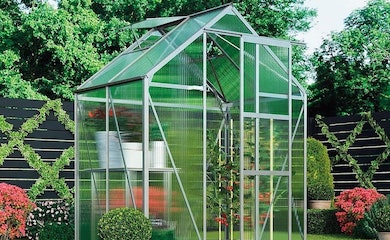 Aluminium greenhouse from Thompson & Morgan