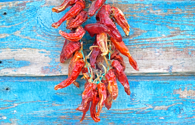 dried chilli plants against blue board