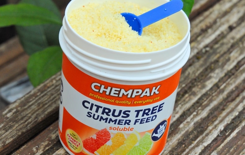 Chempak citrus tree feed with spoon from Thompson & Morgan