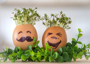 two cress heads with faces