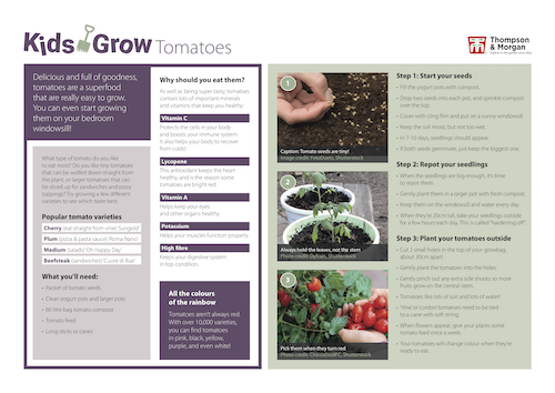 growing tomatoes with kids pdf