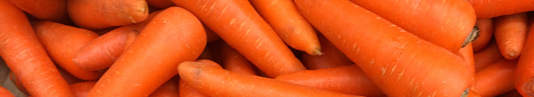 kids grow carrots