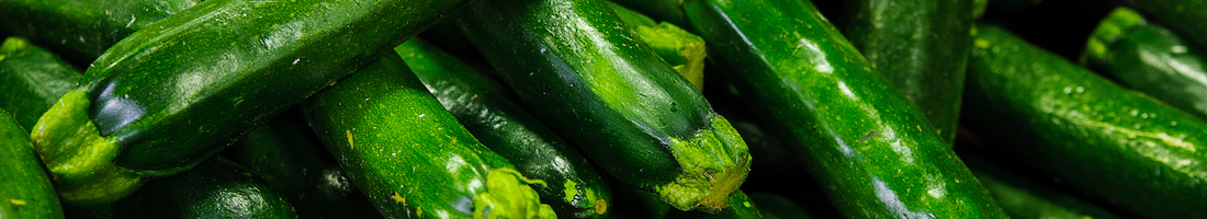 kids grow courgettes