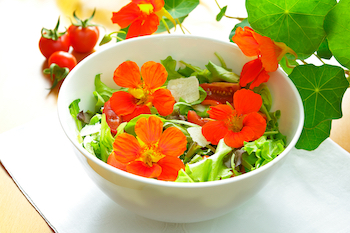 nasturtiums in a bowl full of salad