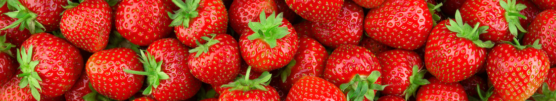 kids grow strawberries