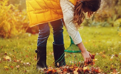 Woman raking up leaves in autumn