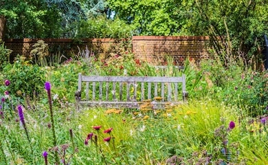 Wildflowers surrounding bench