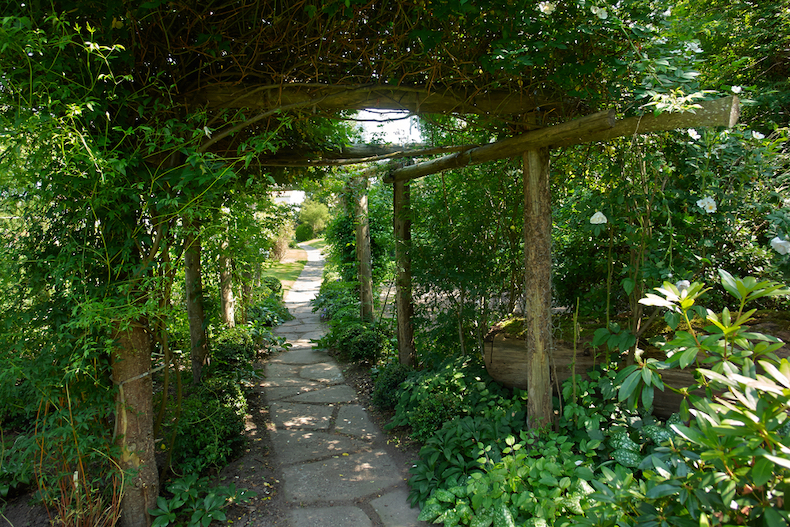 Garden path winding through shady garden