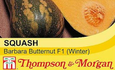 Squash 'Barbara Butternut' F1 Hybrid (Winter) seed packet
