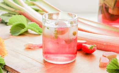 Pink rhubarb cocktail