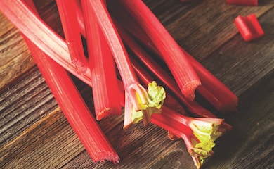 Red harvested rhubarb stems on table