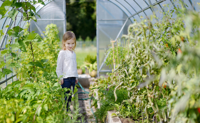 child in greenhouse full of salad