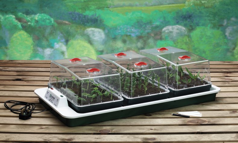 big 3 propagator