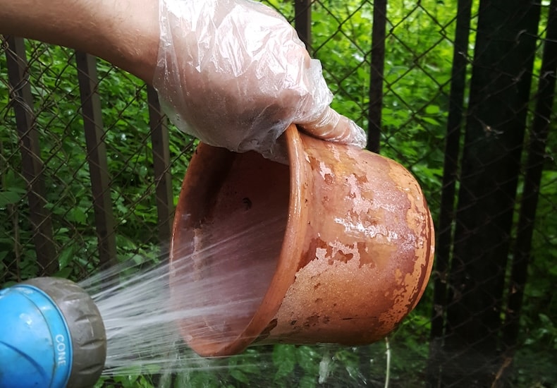 Cleaning out pots