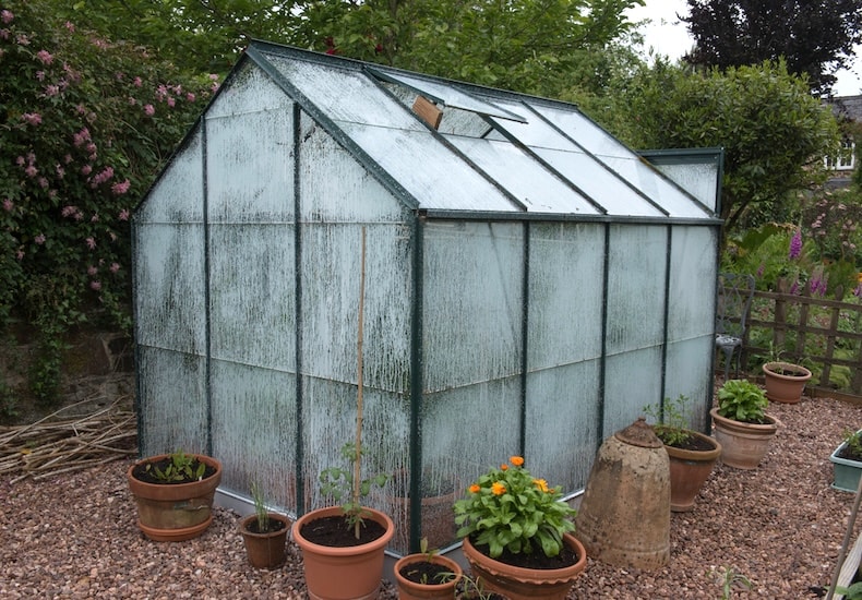 Greenhouse with shading paint