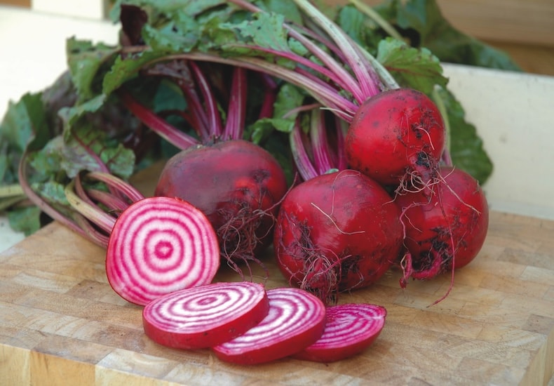 Red and white beetroot article