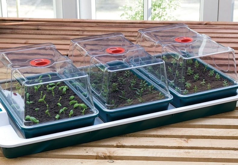 Big 3 Electric Propagator