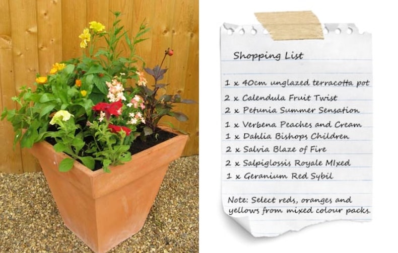 Summer sizzler in pot next to shopping list