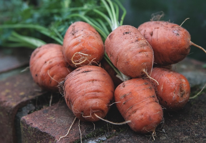 carrots paris market