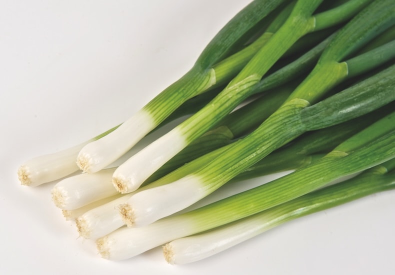spring onion totem