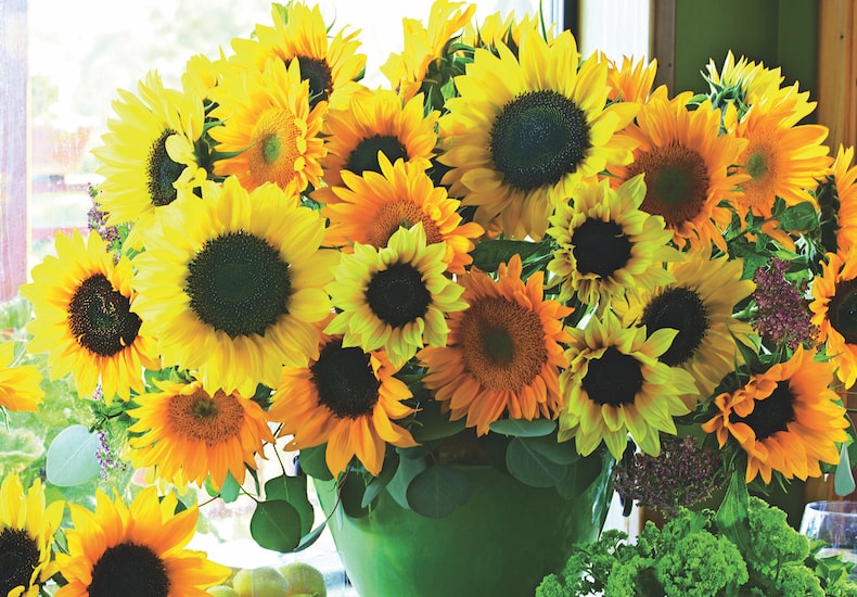 Sunflowers in green vase