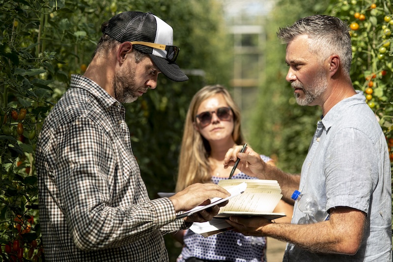 Thompson & Morgan horticultural experts top ten easy to grow flowers