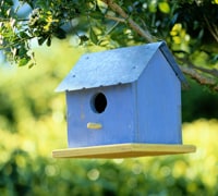 wildlife tasks february - nest box