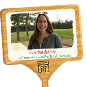 Sue Sanderson - Gardening Expert