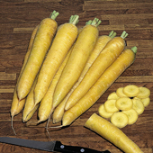 More top-rated vegetables More top-rated vegetables