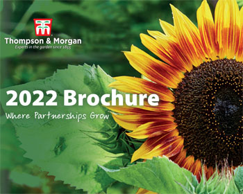 TM UK Sales Brochure 2022
