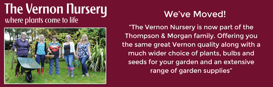 The Vernon Nursery has moved - now part of the Thompson & Morgan family and able to offer you a greater choice of plants, seeds, bulbs and garden supplies.
