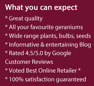 Expect the same great quality, a wide range of plants, bulbs and seeds including vegetables and all your favourite geraniums. PLUS 100% satisfaction guaranteed