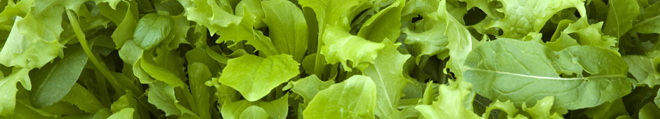 Growing salad leaves video