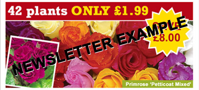 newsletter key code example 1