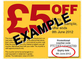 promotional voucher expiry date
